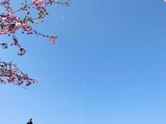 -云漫湖生态度假公园