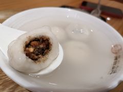 -海丝金凤(金鱼店)