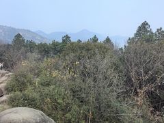 -灵岩山风景区