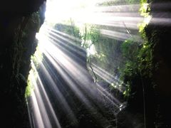 -怀托摩萤火虫洞