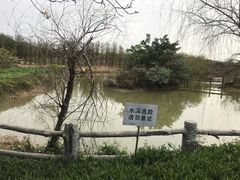 -天适樱花悠乐园