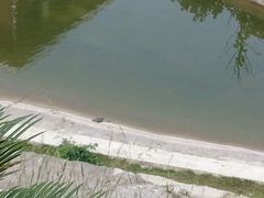 android_upload_pic-满都海公园