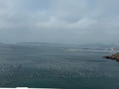 -枸杞岛