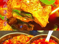 -陈麻婆豆腐总店
