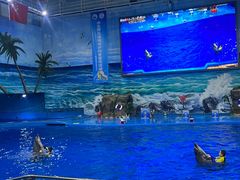 -多彩贵州城极地海洋世界