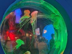 -太平洋海底世界