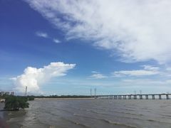 -宝安西湾红树林湿地公园