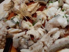 石斑鱼-新溢香国际酒店-中餐厅