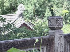 -韬光茶庵