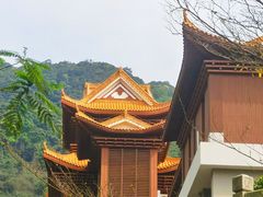 -深圳仙湖植物园