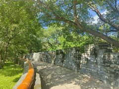 -北陵公园