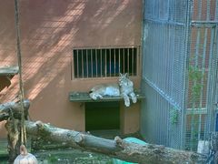 -青藏高原野生动物园