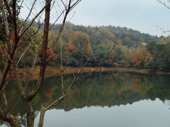 -游子山休闲旅游区
