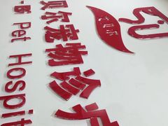 -艾贝尔宠物诊疗