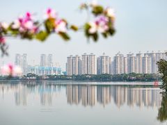 -顺峰山公园