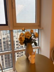 -演员的秘密·皮肤管理