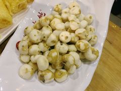 -春润大地海南椰子鸡(沙井京基百纳广场店)