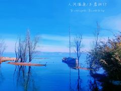 -洱海月湿地公园