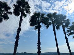 -东钱湖旅游度假区