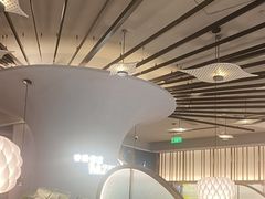-雀蓝川菜(滨湖万象汇店)