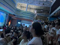 -海合安成都极地海洋公园