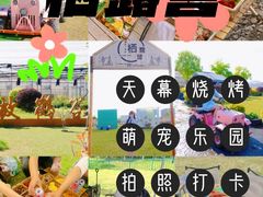 -栖露营camping·天幕烧烤·团建拓展·采摘营地