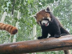 -北京野生动物园