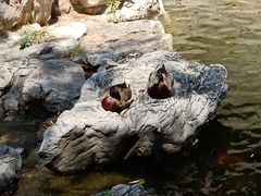 -北京积水潭医院-停车场