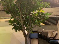 -大树餐厅(红旗街万达店)