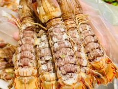 -望海湾海鲜楼·海鲜(河南路店)
