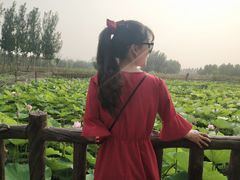 -渔岛海洋度假区