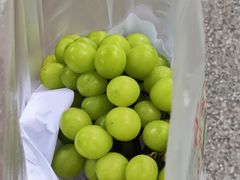 -鲜丰水果(上海汇城苑店)