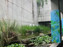 -中国湿地博物馆