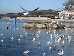 -老虎石海上公园