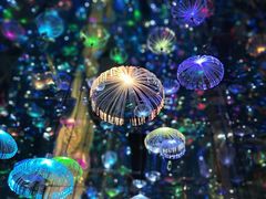 -成都梵高星空艺术馆(春熙路旗舰店)