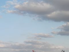 -上海滨江森林公园