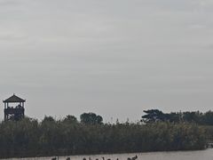 -盐城丹顶鹤湿地生态旅游区