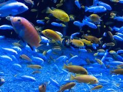 -成都浩海立方海洋公园