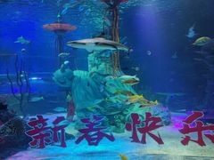 -沈阳海洋探索中心