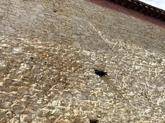 -噶丹松赞林寺