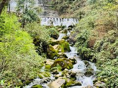 -鹿院坪生态旅游景区