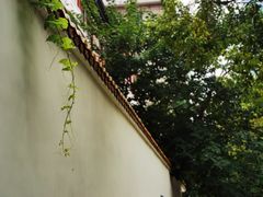 -参差咖啡(水果湖公园店)