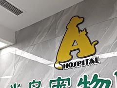 -半岛宠物医院24小时(白果林店)