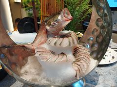 -外滩·云南人家(昆明旗舰店)