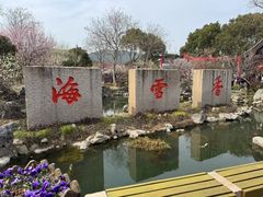 -香雪海