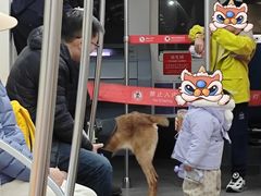 -积水潭(地铁站)