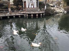 -天毓山庄·餐厅