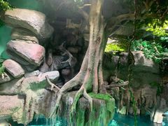 -福州罗源湾海洋世界旅游区