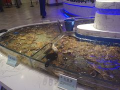-澜悦港海鲜体验主题餐厅