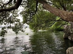 -东湖落雁景区